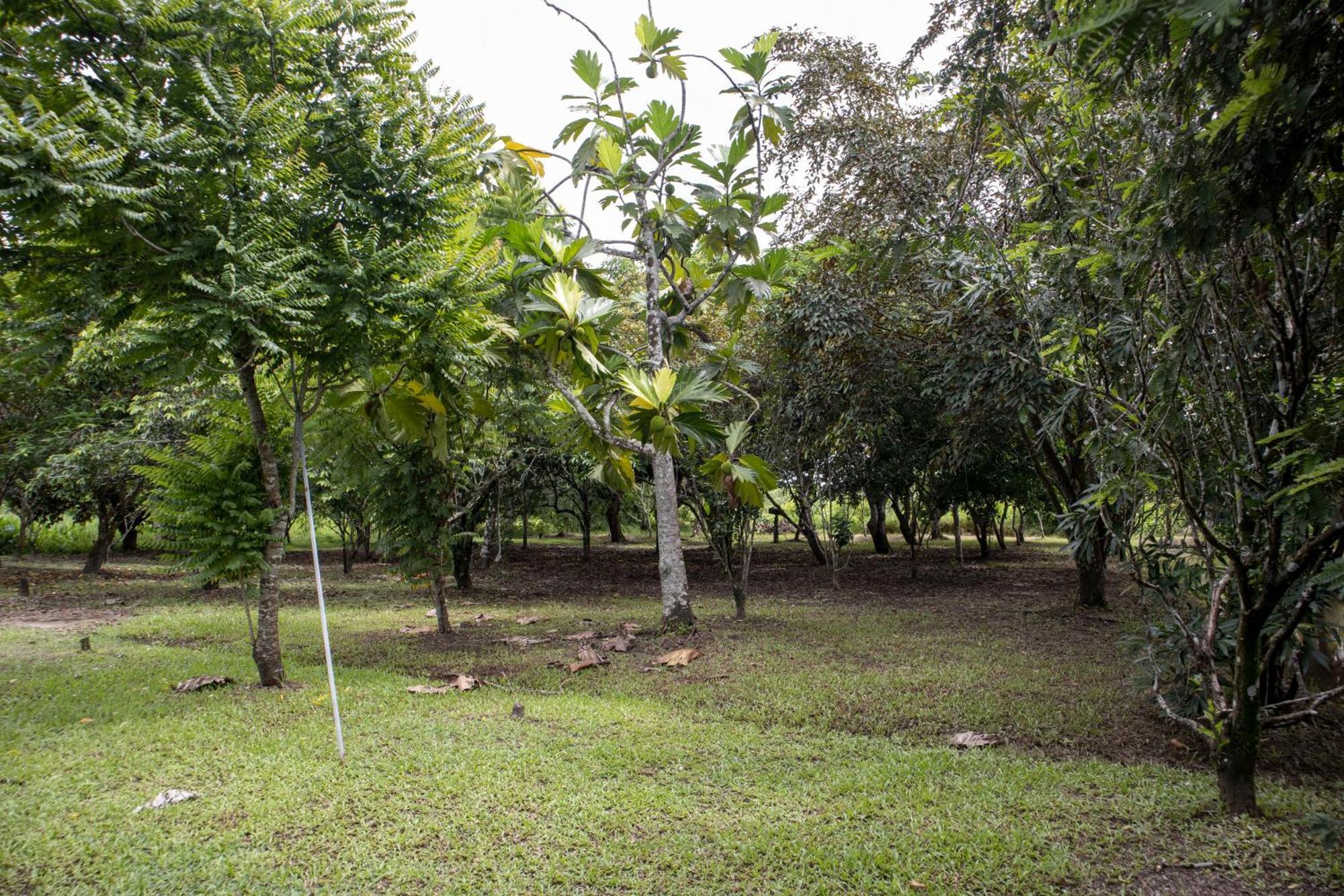 Sabajo Appartement Verhuur Paramaribo Luaran gambar